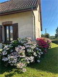 Photo numero 48398360 du bien UBI483340499